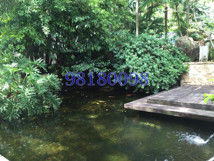 Tanglin Park (D10), Condominium #75340052